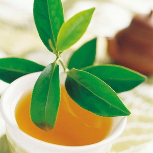 Trà xanh: Bình thường trà xanh là loại đồ uống thanh lọc rất có lợi cho sức khỏe nhưng với thuốc chống ung thư có tên bortezomib – có khả năng “đánh bại” với những tế bào ung thư thì trà xanh lại là thức uống khắc tinh của thuốc.