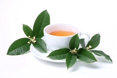 Nước trà xanh là “kẻ dẫn mối” cho các tế bào ung thư “trụ” lại và phát triển mạnh mẽ hơn trong cơ thể. Hãy nhớ rằng trà xanh có thể giúp bạn chống lại ung thư nhưng lại “phản bội” bạn trong quá trình điều trị ung thư bằng thuốc.