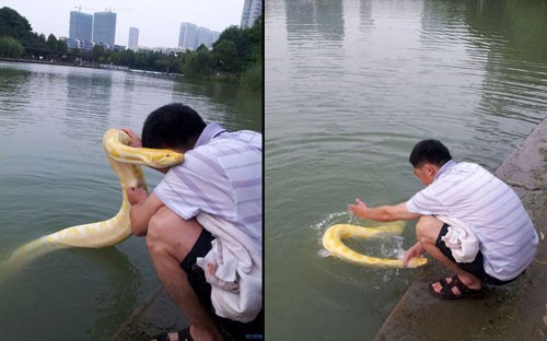 Một người đàn ông đưa con trăn của mình đi tắm trong một công viên ở thành phố Thường Châu, Trung Quốc