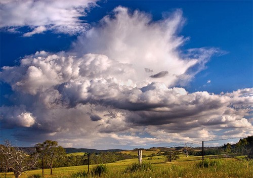 Đụn mây trắng bồng bềnh như đang sà xuống cánh đồng ở Clonbinane, Victoria.