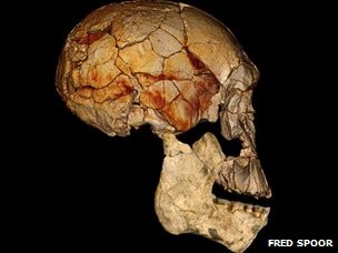 Hóa thạch xương người mới được phát hiện tại Kenya