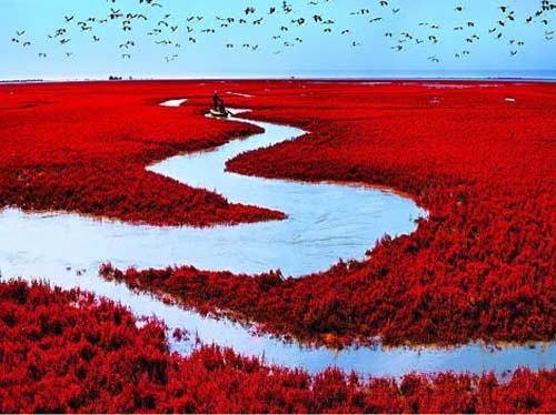 Bãi biển đỏ (Trung Quốc)