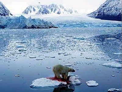 Băng tan: Hình ảnh băng tan ở Bắc cực.