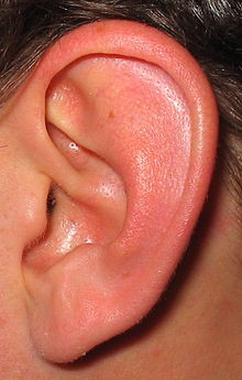 7. Nghe: Khi một người già đi, anh ta bắt đầu điếc dần. Việc phân biệt các thay đổi trong giọng nói trở nên khó khăn do sự lão hóa màng tai.