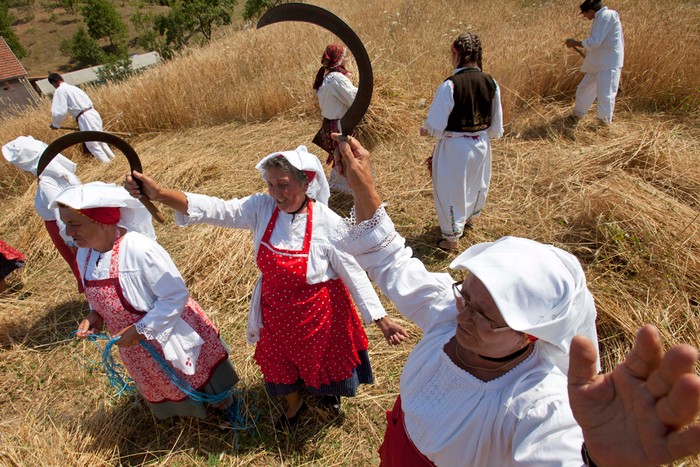 Những người phụ nữ cùng nhau hát hò để mừng ngày đầu tiên của lễ hội mùa gặt tại làng Hrgovi, Bosnia, 14/07/2012.