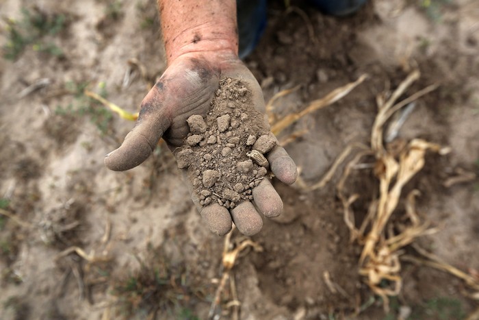 Một nông dân bốc nắm đất khô cằn, bên dưới là các cây hoa màu đã chết khô, tại nông trại của gia đình anh ở Logon, Kansas, 24/08/2012. Vùng Kansas đang phải trải qua một đợt hạn hán kỷ lục trong nhiều năm qua.