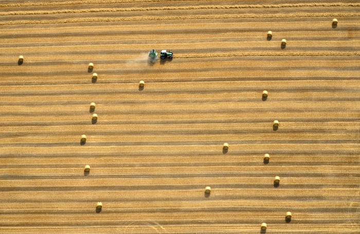Một chiếc xe máy kéo đang thu hoạch cỏ trên cánh đồng ở gần Hildesheim, Đức, 18/08/2012.
