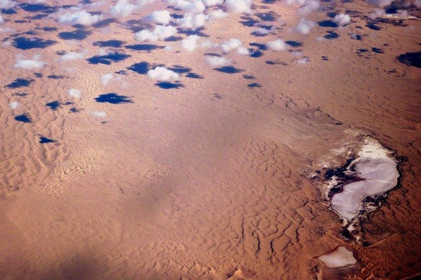Sa mạc Sonoran, Bắc Mỹ