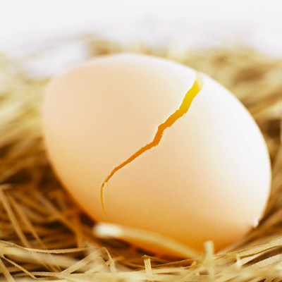 2. Trứng: Trứng gà giúp chức năng hoạt động của não vì trí nhớ tốt hay không đều có liên quan mật thiết đến hàm lượng acetylcholine trong não.