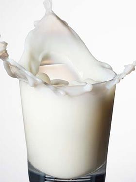 3. Sữa: Sữa bò được coi là một trong những nguồn dinh dưỡng quý giá nhất. Trong sữa có nhiều protein, canxi và những nguyên tố cần thiết khác cho não. Đặc biệt, sữa tươi là loại thực phẩm dinh dưỡng gần như hoàn hảo, với hàm lượng cao các chất protein, canxi và các axit amino cần thiết cho não bộ.