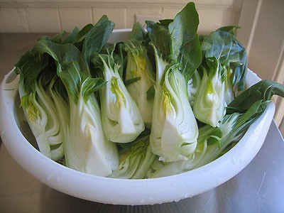 9. Rau cải trắng: Rửa sạch búp rau cải trắng, thái sợi trộn chung với đường và giấm để ăn, cơn say sẽ giảm.