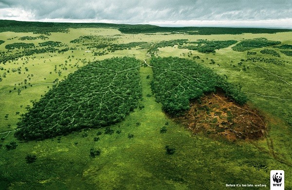 Rừng chiếm 31% diện tích đất trên thế giới, là nguồn sống của hơn 1,6 tỉ người trên địa cầu. Thế nhưng, vì lợi nhuận, cứ mỗi giây, 0,4ha rừng bị chặt, vĩnh viễn biến mất khỏi hành tinh. Chính con người, chứ không ai khác đang kết liễu mạng sống của toàn nhân loại.