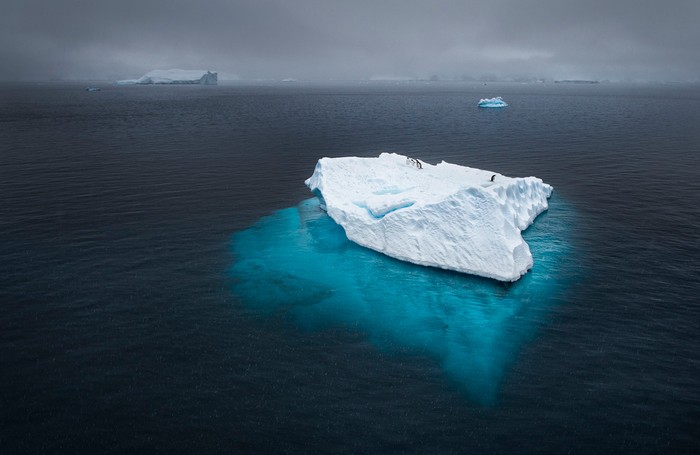 Tên tác phẩm: Adrift (Lênh đênh) – Những chú chim cánh cụt trôi giạt cùng tảng băng sau một trận bão tuyết lớn ở Antarctica. Tác giả: Joshua Holko.