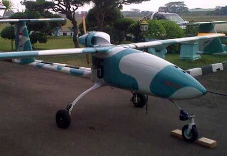 UAV Wulung có sải cánh 6,36m, trọng lượng cất cánh tối đa 120kg, tốc độ 111km/h, tầm bay 120km (hoạt động liên tục 4 tiếng).