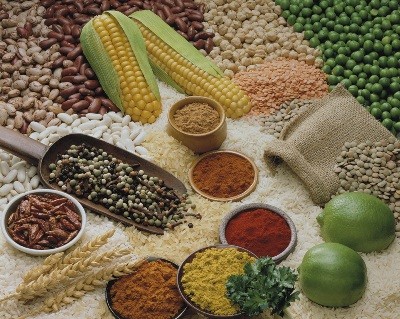 Các loại ngũ cốc: Các loại ngũ cốc cũng là “người bạn thân thiết” để giúp bạn giảm cân và tránh các nguy cơ mắc bệnh tim mạch và đột quỵ.