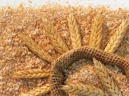 Ngoài ra, cám lúa mì có tác dụng giúp cơ thể sử dụng năng lượng hữu hiệu từ thức ăn thông qua các chu trình sinh hóa, sự chuyển hóa cholesterol và acid béo do có thành phần pantothennic acid, giúp ngăn ngừa bệnh ung thư.