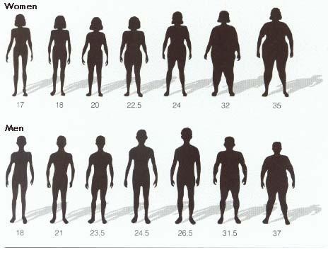 18. Chỉ có BMI (cân nặng chia cho bình phương chiều cao) cho thấy bạn có thừa cân hay không. Nếu ở mức BMI <18: người gầy; BMI = 18 – 24,9: bình thường; BMI = 25 – 29,9: béo phì độ I; BMI = 30 – 34,9: béo phì độ II và BMI > 35: béo phì độ III.