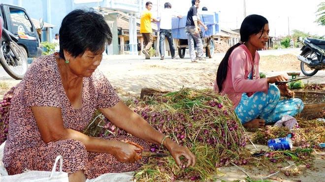 Bóc vỏ hành tím - một trong những công đoạn khiến nhiều người dân ở xã Vĩnh Phước, thị xã Vĩnh Châu dễ bị mù mắt - Ảnh: Đ.Triều