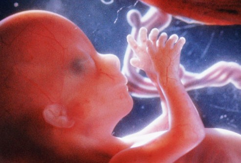 Khi được 16 tuần tuổi: Đến thời điểm này, người mẹ có thể cảm thấy đỉnh của tử cung cách khoảng 3 inch ở dưới rốn. Đôi mắt của em bé có thể chợp, tim và các mạch máu được hình thành đầy đủ. Các ngón tay và ngón chân bắt đầu có dấu vân.