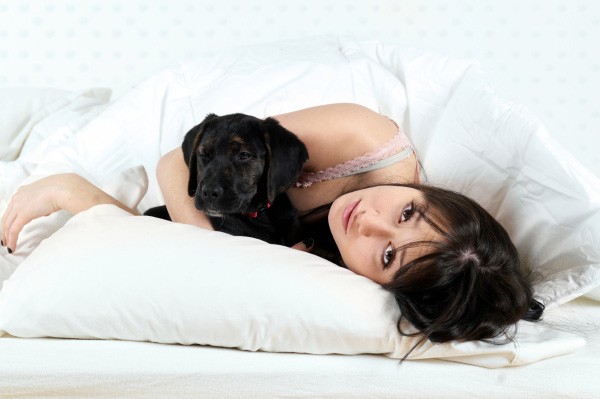 Đừng ôm thú cưng khi đi ngủ vì nó có thể khiến bạn tỉnh giấc