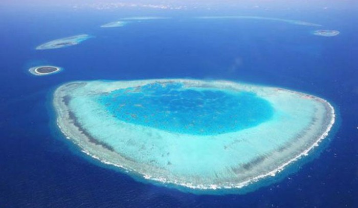 Đá Hải Sâm là một rạn san hô vòng thuộc nhóm đảo Lưỡi Liềm của quần đảo Hoàng Sa đã bị Trung Quốc ăn cướp của Việt Nam