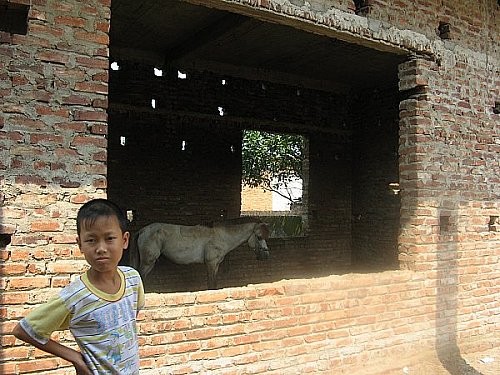 Hiện, điểm trường Tiểu học tại thôn Nga Trại được người dân tận dụng làm chuồng nuôi ngựa. Ảnh Xuân Trung