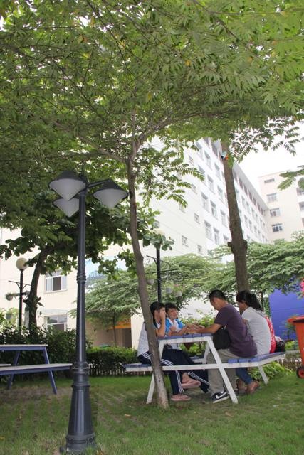 Tại trường Thăng Long, sinh viên có thể học bất cứ chỗ nào trong khuôn viên của trường.