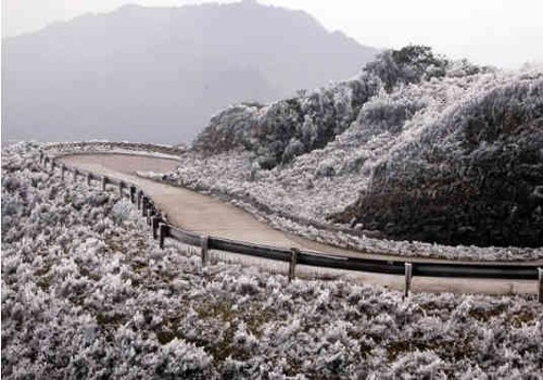 Tuyết phủ trắng con đường lên Mẫu Sơn.