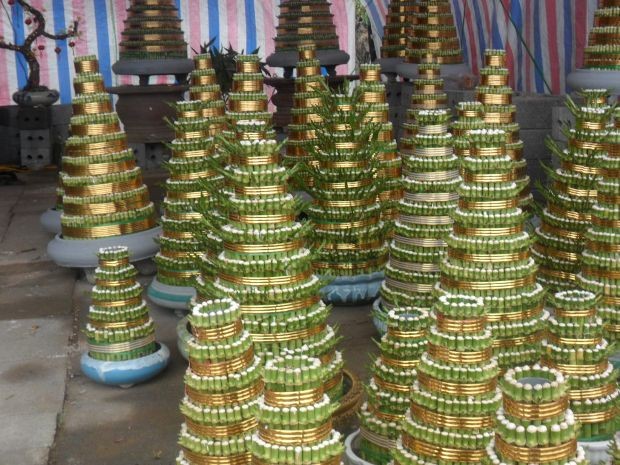 Nhiều tháp cây đem lại hiệu quả kinh tế cao cho người dân Thái Bình