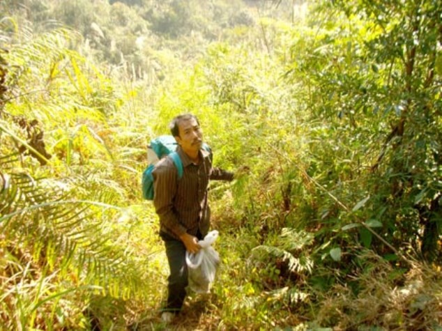 Lương y Phạm Văn Thanh và một chuyến đi tìm thuốc quý trong rừng