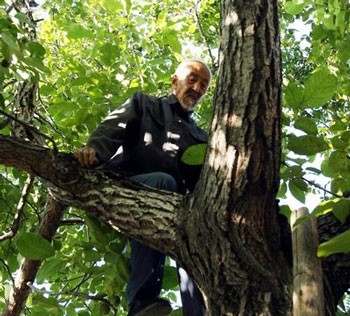 Cụ ông Gu Quanxi sống ở tỉnh Hà Bắc (Trung Quốc) có sở thích vô cùng đặc biệt là trèo cây. Khi nhìn cụ trèo lên cây thoăn thoắt, chẳng ai có thể tin cụ đã 90 tuổi. Cụ Gu vẫn thường trèo lên các cây cao 10-20m để thỏa mãn cơn “nghiện” trèo cây của mình.
