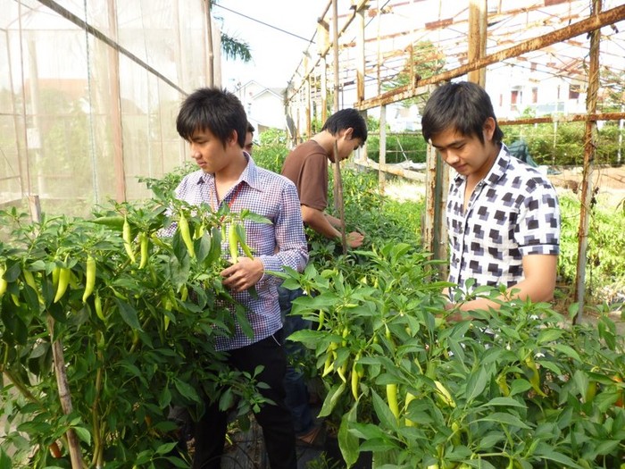 Sinh viên Ngành Bảo vệ thực vật Trường Đại học Lâm nghiệp phân hiệu tỉnh Đồng Nai thực hành môn học. (Ảnh: Nhân vật cung cấp)