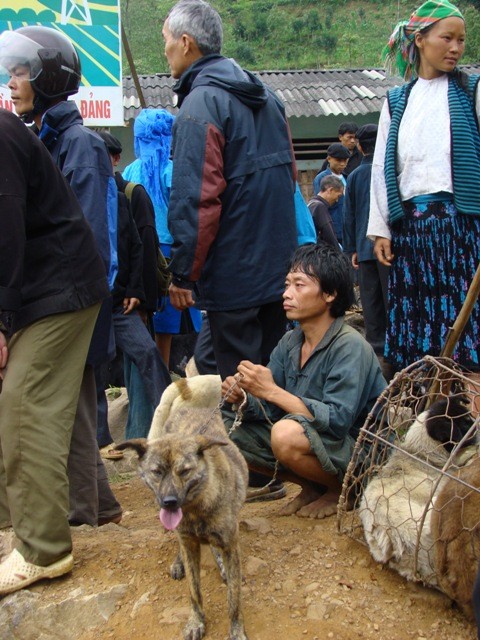 Người đàn ông dân tộc Mông này mang con chó từ sáng sớm đến chợ nhưng chưa bán được