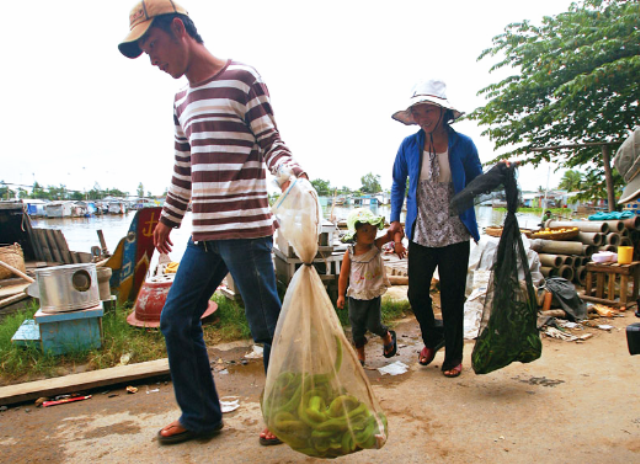 Hai mẹ con chị Sáu Lợi mang rắn lục do chồng chị đi bắt bên vùng sông nước giáp Campuchia về bán, mỗi chuyến đi về có đến trên trăm con rắn