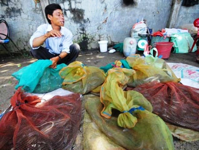 Thu mua rắn từ các chợ Khánh Bình - An Phú đưa ra chợ biên giới Việt - Căm bán