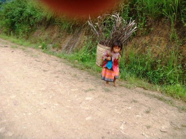 Những lúc bố mẹ vắng nhà, mình em vẫn vào rừng nhặt củi khô về đun cơm
