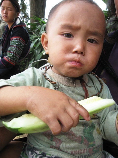 Những em bé vẫn phải ăn dưa gang mà bố mẹ trồng được thay cơm