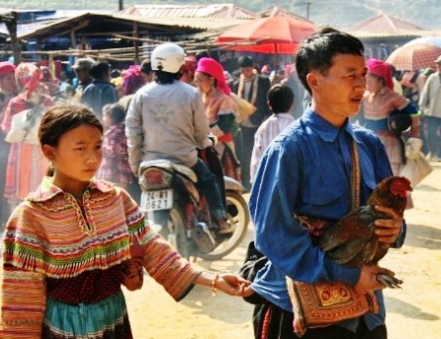 Hai bố con người H'Mông mang gà xuống chợ bán