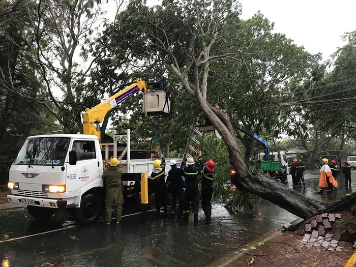 Lực lượng chức năng khắc phục hậu quả do cơn bão số 9 gây ra trên địa bàn huyện Cần Giờ (thành phố Hồ Chí Minh). (Ảnh: Thành Trung)