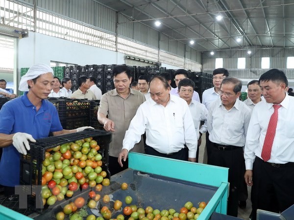 Việt Nam có nhiều lợi thế về các sản phẩm nông sản. ảnh: TTXVN.