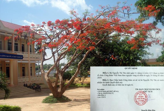 Trường Tiểu học Lý Tự Trọng và quyết định được ra khỏi công đoàn của cô Nguyễn Thị Tân. (Ảnh: H.L)