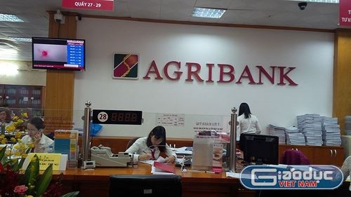 Theo Phó Thống đốc Ngân hàng Nguyễn Thị Hồng cho biết hiện Agribank đã hoàn trả tiền cho 8 chủ thẻ. ảnh: gdvn.
