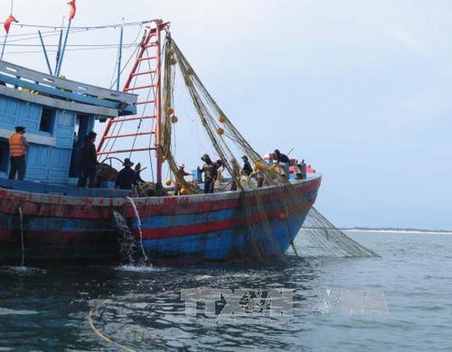 Phó Thủ tướng Trịnh Đình Dũng đã chỉ đạo một loạt các giải pháp để chấn chỉnh lại hoạt động khai thác hải sản. (Ảnh minh họa: TTXVN)