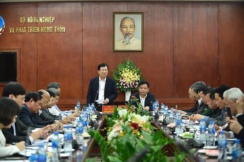 Phó Thủ tướng Trịnh Đình Dũng chủ trì cuộc họp. Ảnh: TTXVN