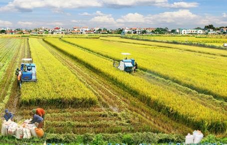 Phát triển nông nghiệp ứng dụng công nghệ cao, nông nghiệp sạch, nông nghiệp hữu cơ gắn với công nghiệp chế biến. Ảnh minh họa: Dangcongsan.vn