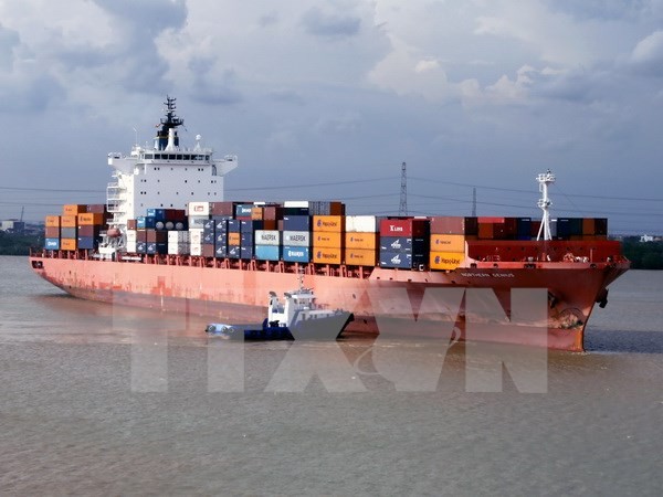 Phó Thủ tướng Trịnh Đình Dũng vừa có ý kiến chỉ đạo về giải pháp khắc phục khó khăn và hỗ trợ doanh nghiệp vận tải biển. Ảnh minh họa: TTXVN