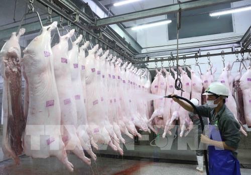 Giá thịt lợn cao ảnh hưởng trực tiếp đến đời sống của người dân. Ảnh minh họa: TTXVN