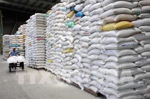 Thủ tướng chỉ đạo tháo gỡ khó khăn cho xuất khẩu gạo. Ảnh minh họa: TTXVN