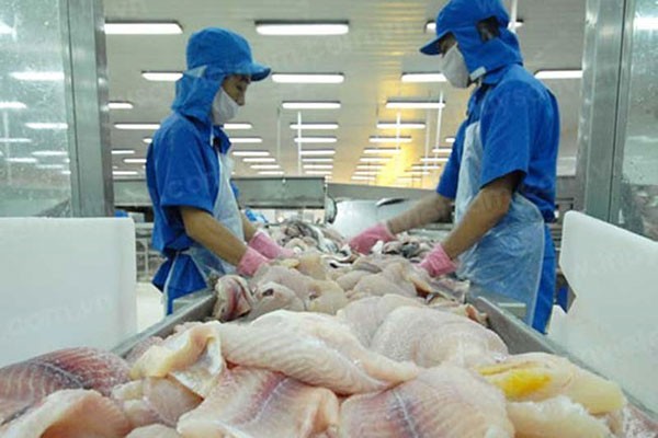 Thủ tướng Chính phủ vừa có ý kiến về đề xuất giải pháp hỗ trợ tiêu thụ hải sản cho ngư dân. Ảnh minh họa: Tongcucthuysan.gov.vn