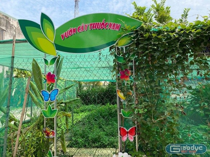 Vườn cây thuốc nam của Trường tiểu học Nguyễn An Ninh (thành phố Biên Hòa) Ảnh: Hữu Đức